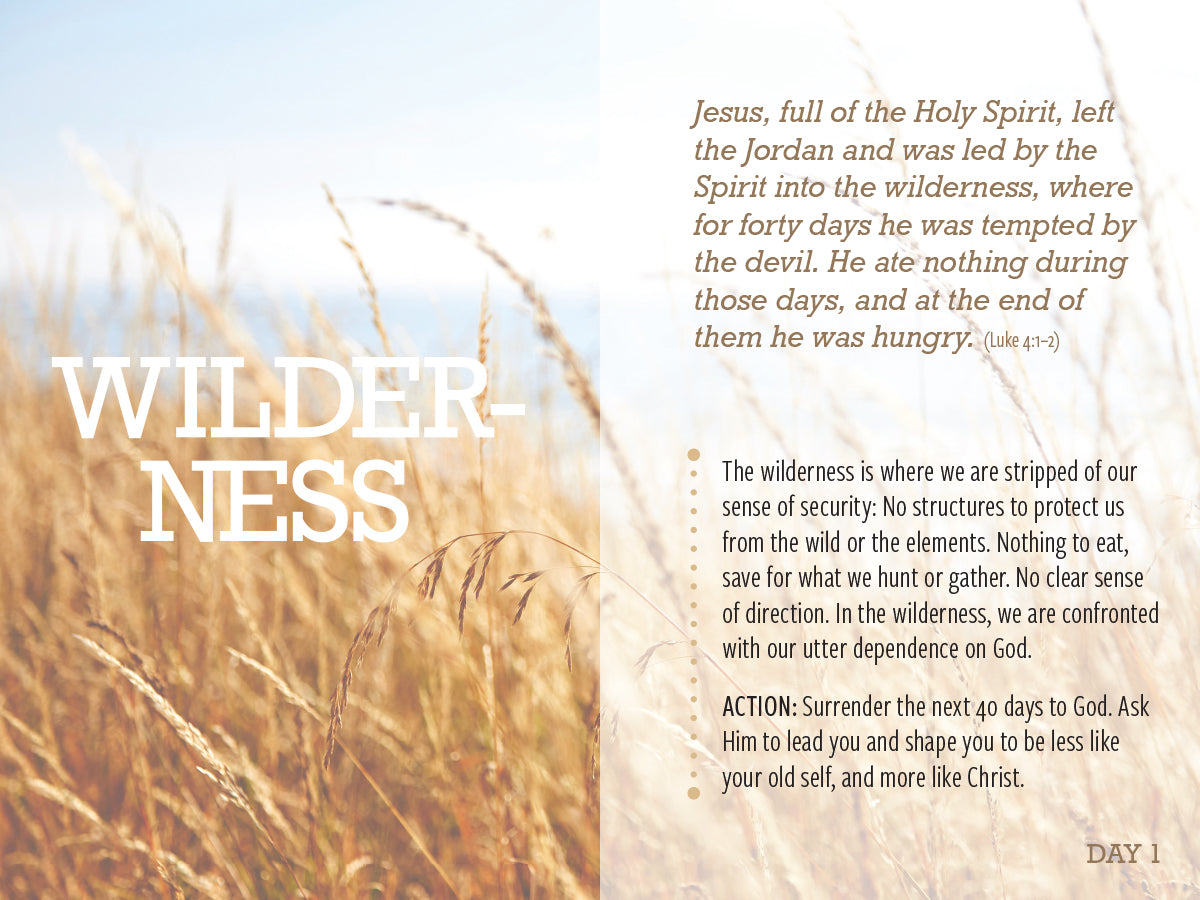Free Devotional—Wanderings: 40 Days of Faith